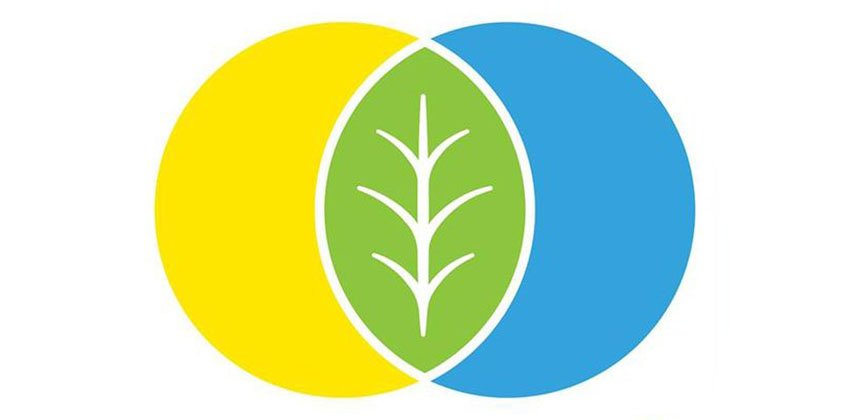 В Україні запровадоили нові вимоги виробництва та маркування органічної продукції